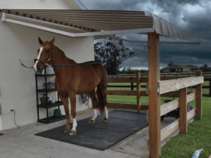 A horse stands protected from the rain beneath a Sunesta awning int he Midwest