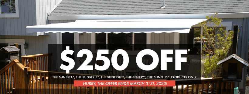 Special Offer